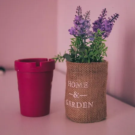 Corso Italia By Ap Gallipoli